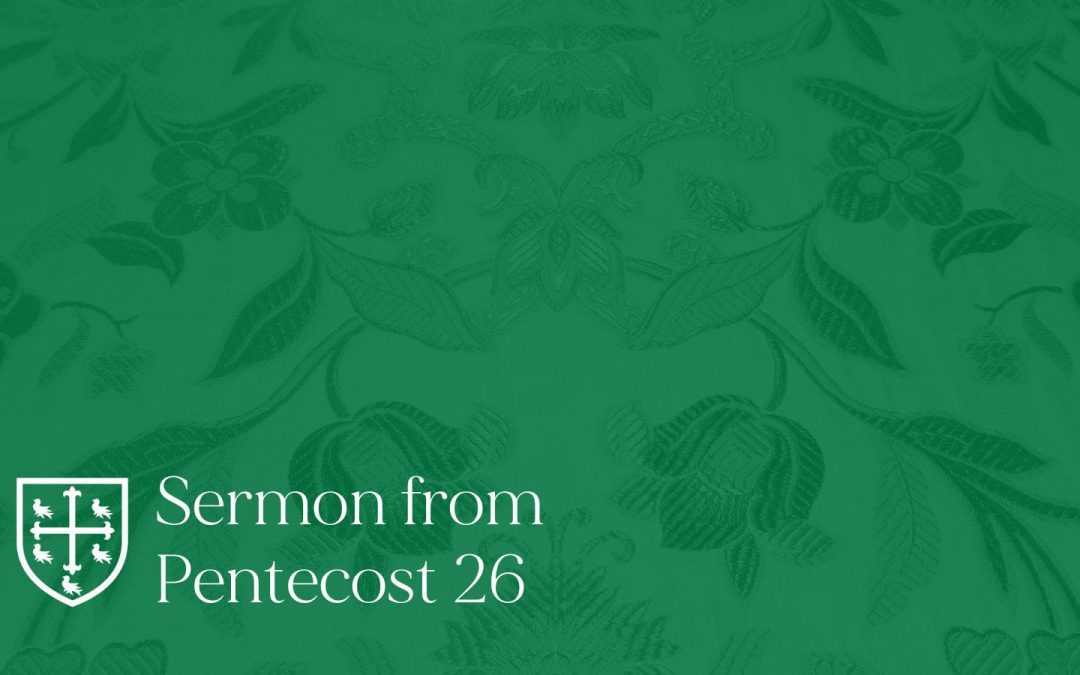 Pentecost 26 – Sermon