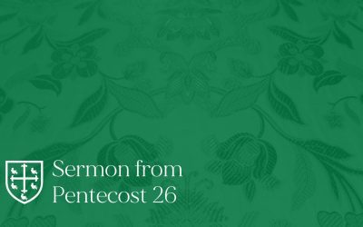 Pentecost 26 – Sermon