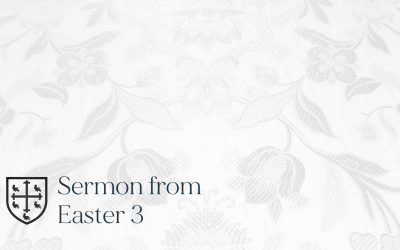 Easter 3 – Sermon
