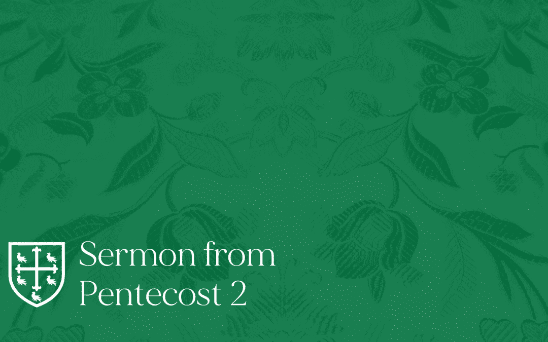 Pentecost 2 – Sermon