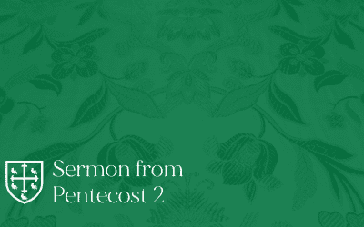 Pentecost 2 – Sermon