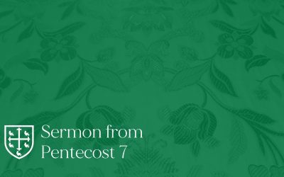 Pentecost 7 – Sermon