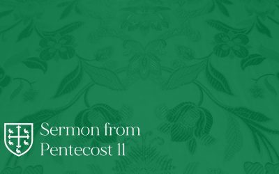 Pentecost 11 – Sermon