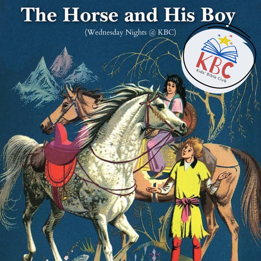 the horse and his boy