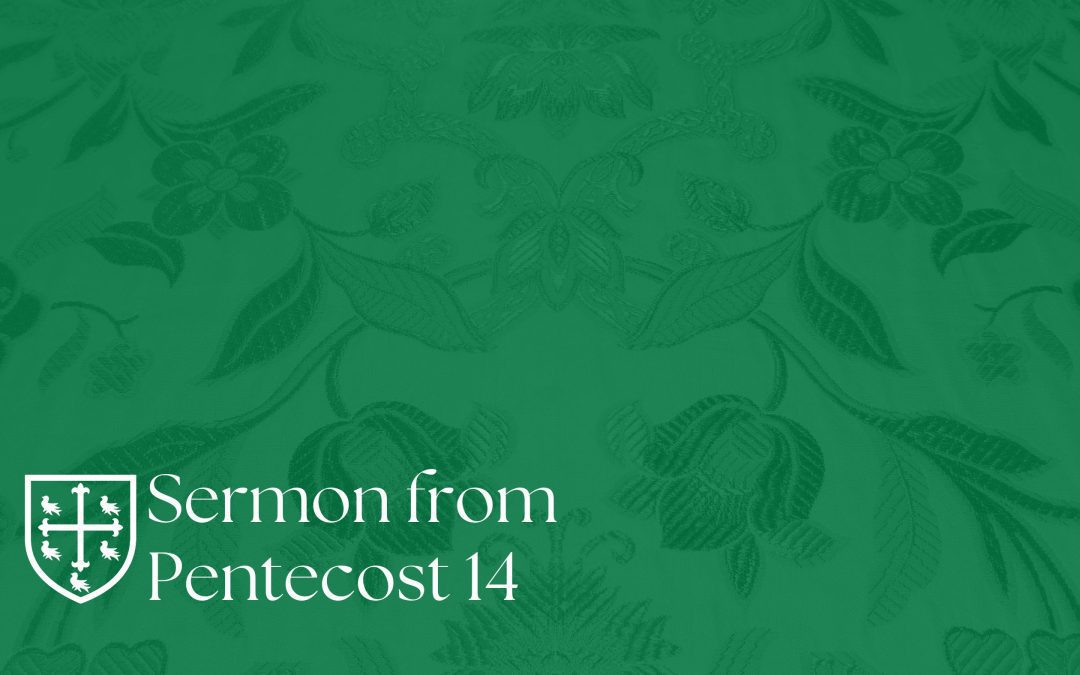 Pentecost 14 – Sermon