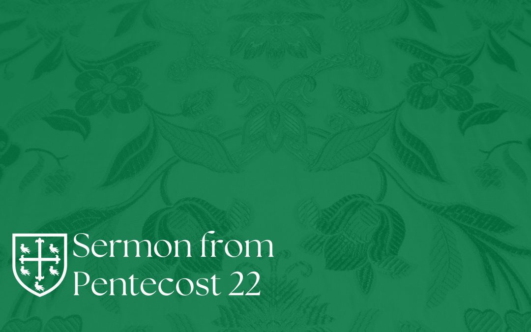 Pentecost 22 – Sermon