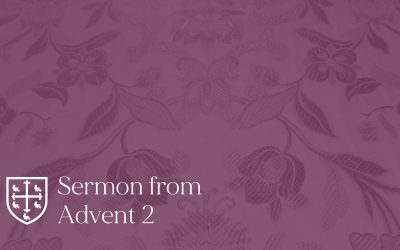 Advent 2 – Sermon
