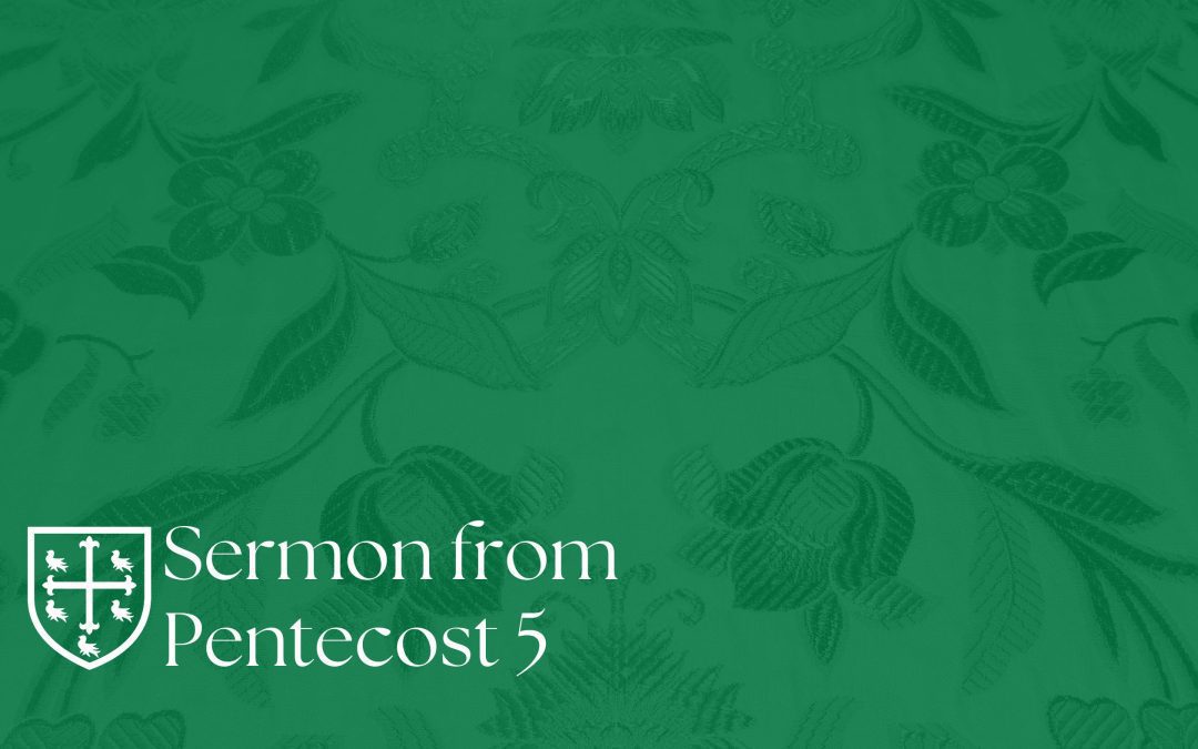 Pentecost 5 – Sermon